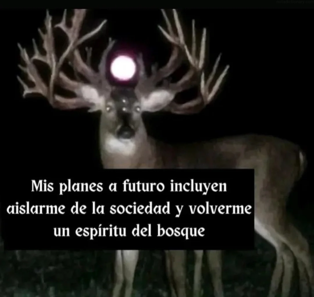 Learn Spanish With Memes: Mis Planes a Futuro