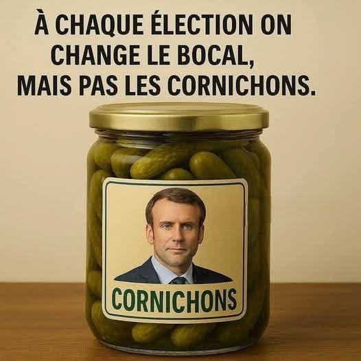 Cornichons vs. Bocal | Learn French With Memes