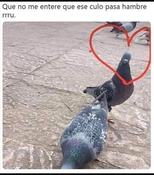Protective Love | Learn Spanish With Memes
