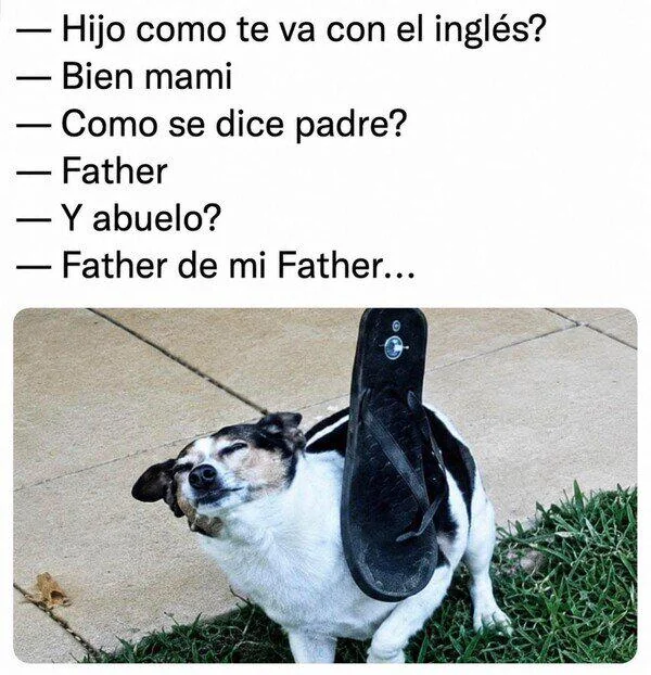 Family Vocabulary  | Learn Spanish With Memes