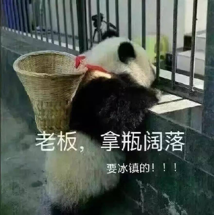 老板拿瓶阔落 | Learn Chinese With Memes