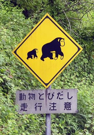 Mama bear and cub  | japanese through reading