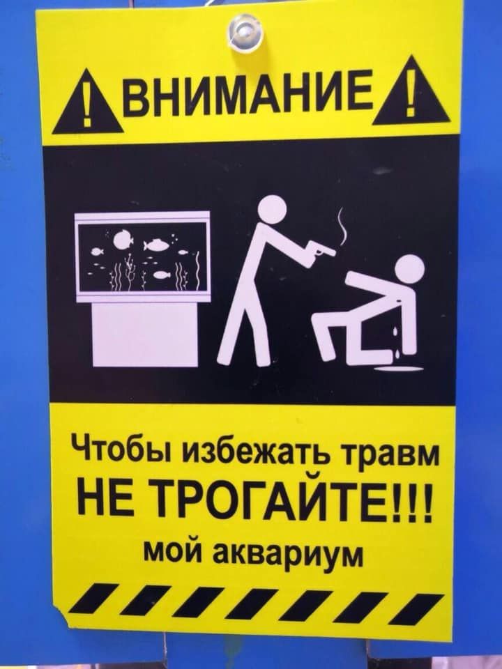 Не Трогайте Аквариум Meme | Learn Russian With Memes