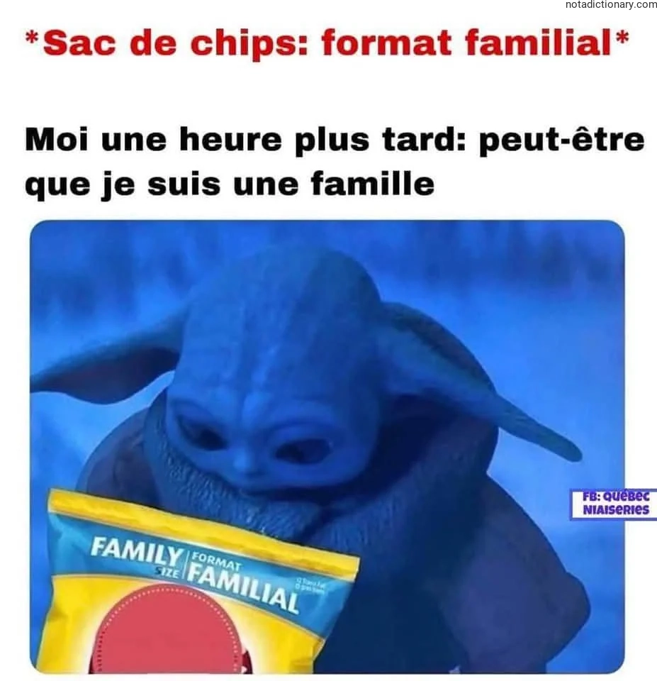 Learn French With Memes: Le Format Familial