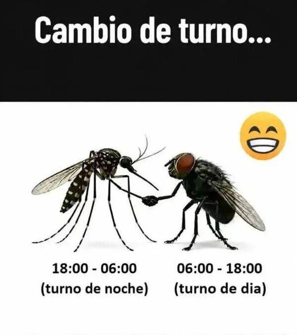 Cambio De Turno | Learn Spanish With Memes