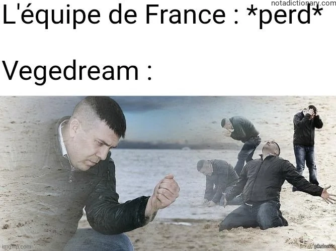 Learn French With Memes: L’équipe de France Perd