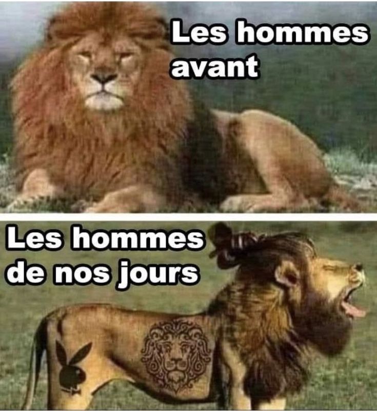 Meme “Les hommes avant vs Les hommes de nos jours”