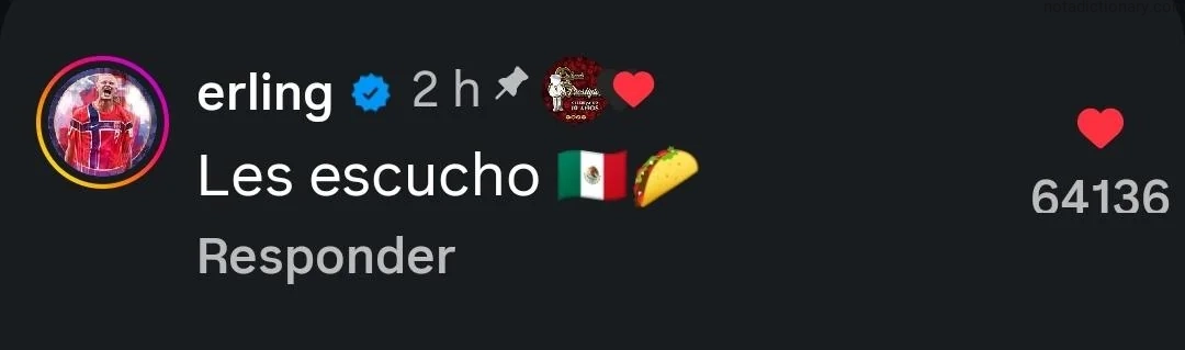 Learn Spanish With Memes: Les escucho