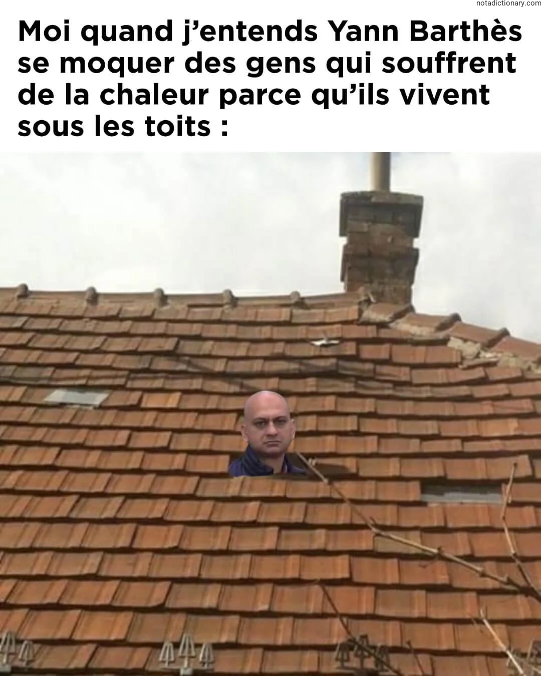 Learn French With Memes: Les Gens Qui Souffrent de la Chaleur