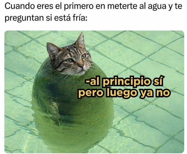 Cold Water | Learn Spanish With Memes