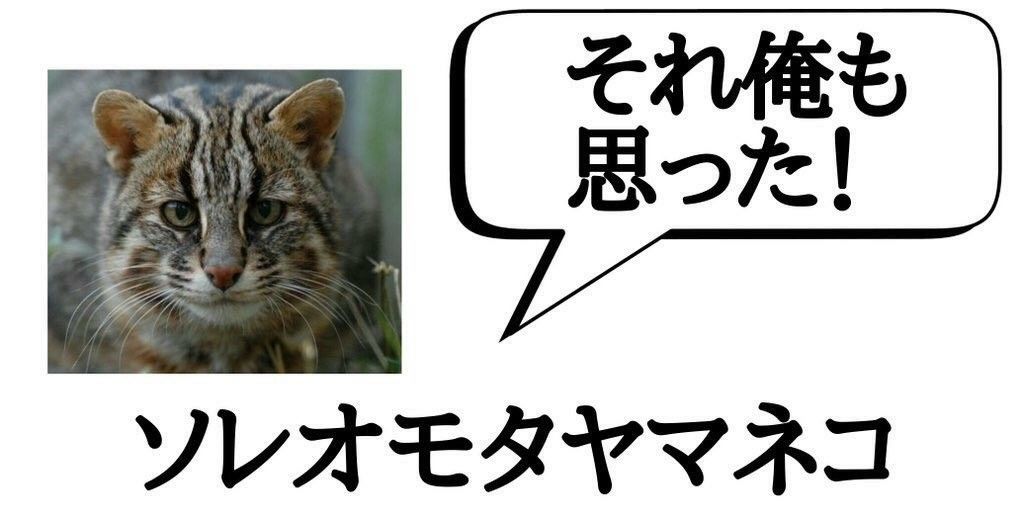 Questionable life choices | Japanese With Memes