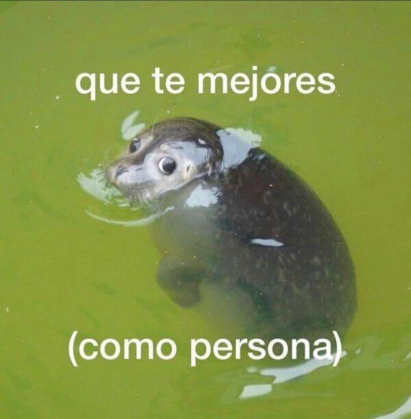 Get Better  | Learn Spanish With Memes