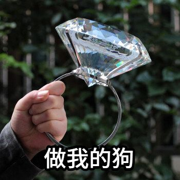 做我的狗 | Learn Chinese With Memes