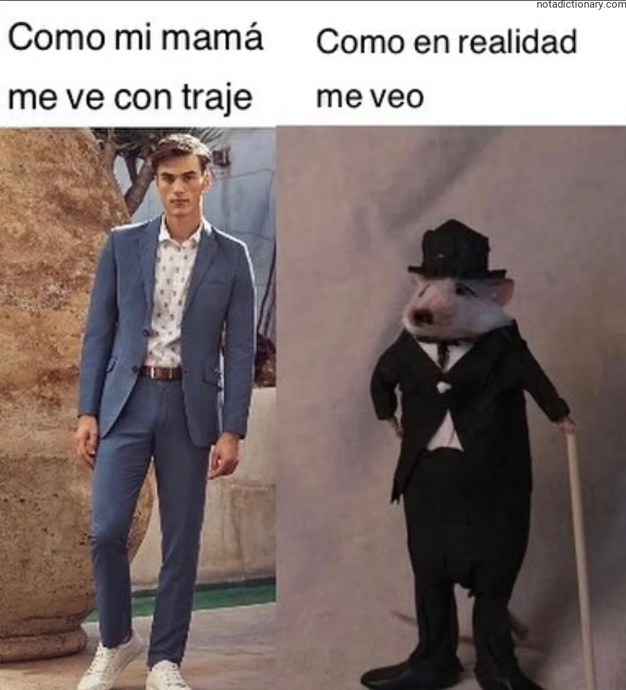 Learn Spanish With Memes: Mi Mamá Me Ve Con Traje