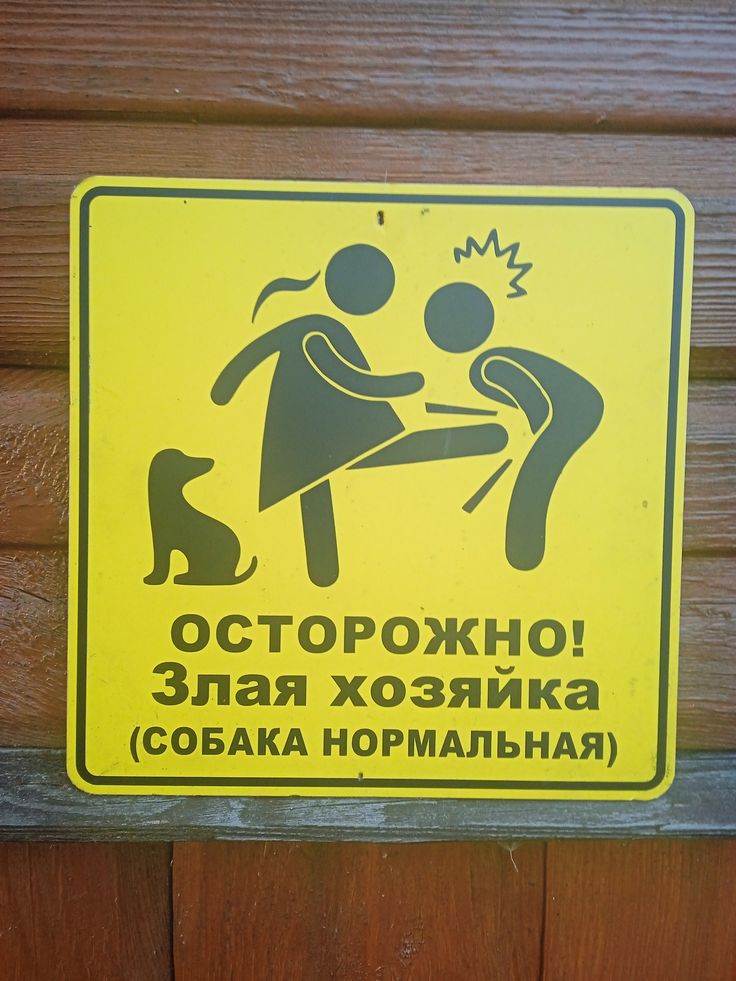 Злая Хозяйка Meme | Learn Russian With Memes