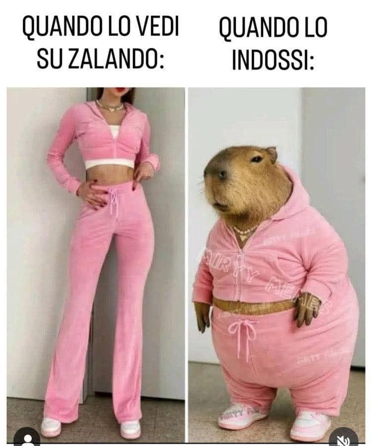 Indossi e Zalando | Learn Italian With Memes
