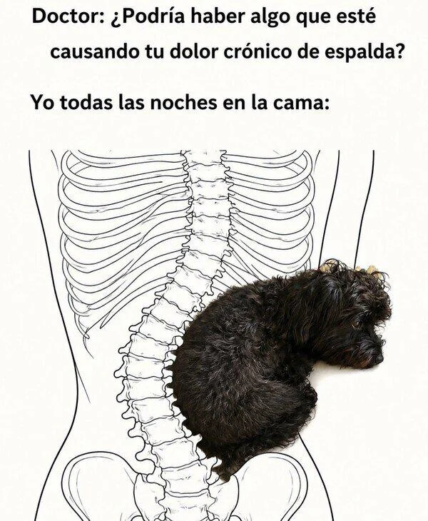 Dolor De Espalda Meme | Learn Spanish With Memes