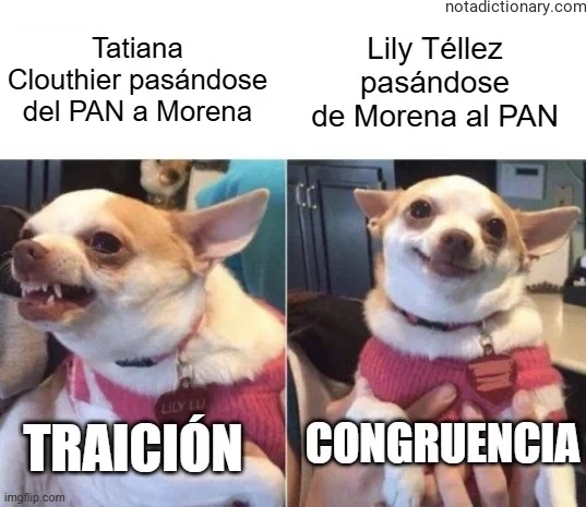Learn Spanish With Memes: The Traición vs Congruencia Mistake