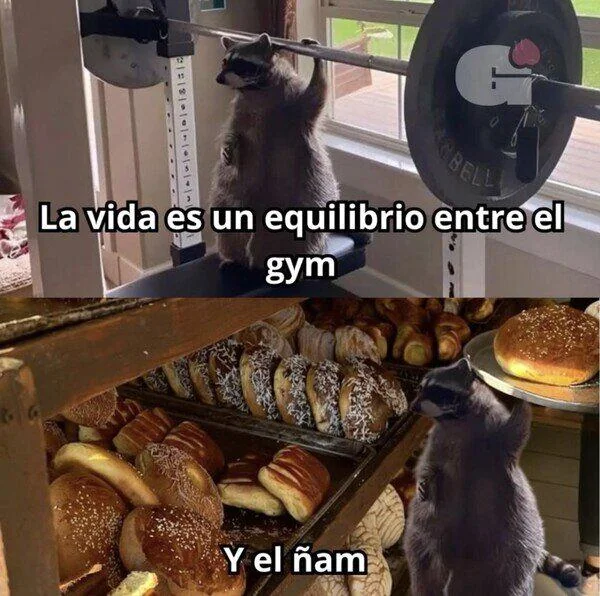 Gym and Food Balance | Learn Spanish With Memes