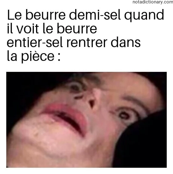 Learn French With Memes: Le Beurre Demi-Sel