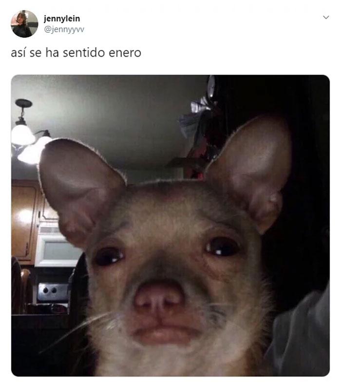 January Exhaustion | Learn Spanish With Memes