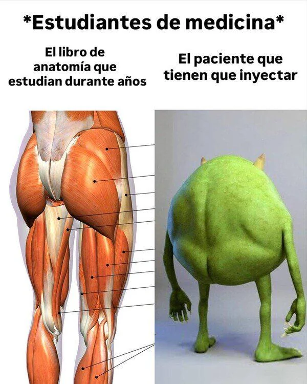 Estudiantes De Medicina | Learn Spanish With Memes