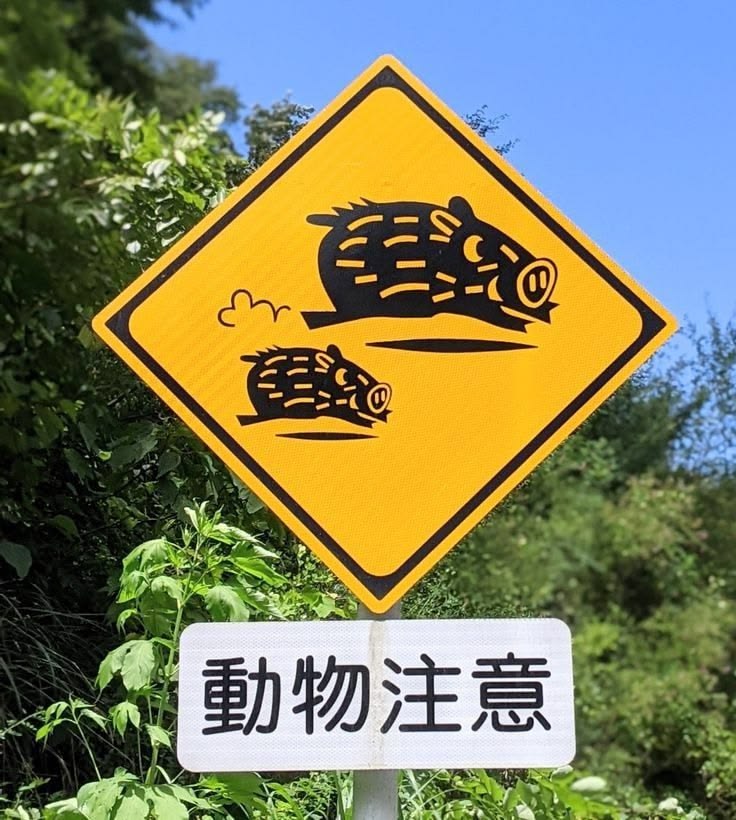When the wildlife is faster | japanese through memes