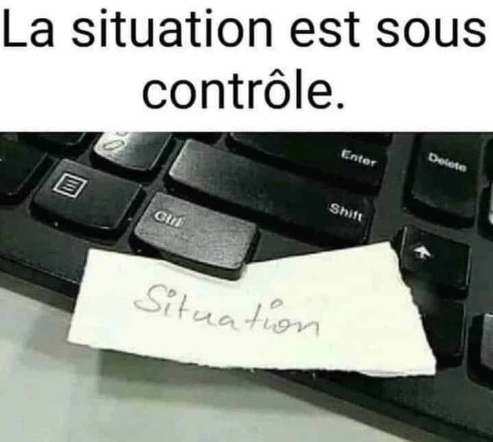 Situation Under Control | Learn French With Memes
