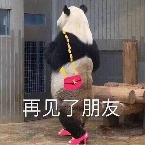 再见了朋友 | Learn Chinese With Memes