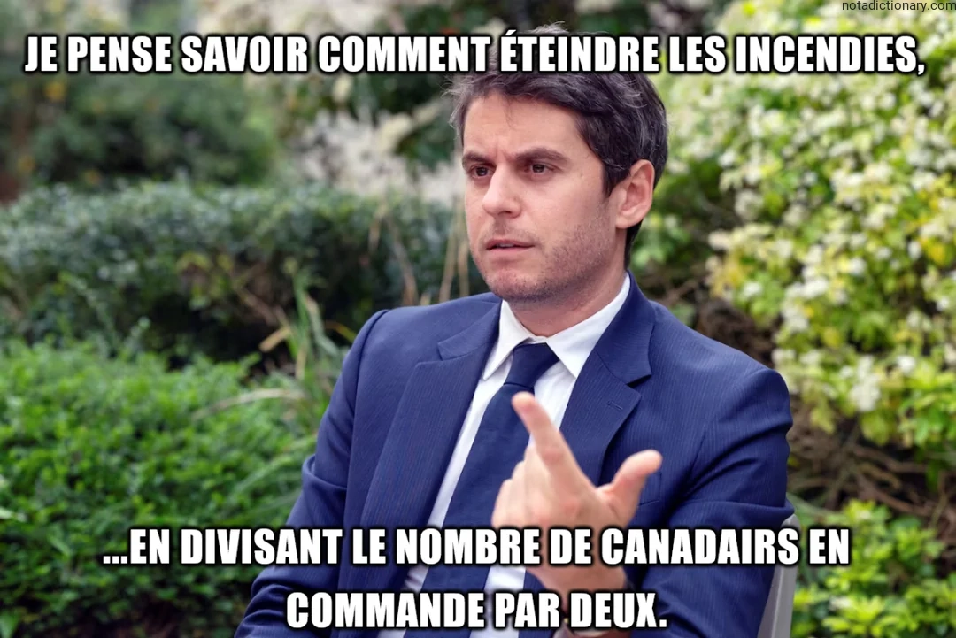 Learn French With Memes: Les Erreurs Qui Font Rire