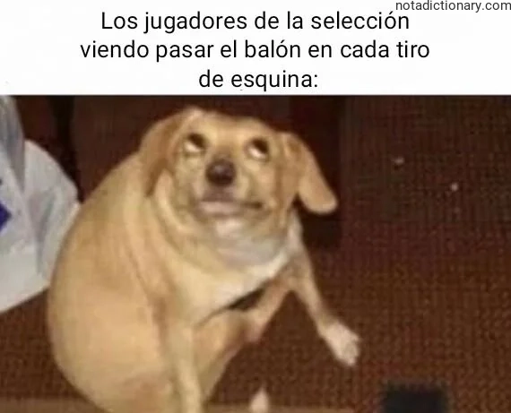 Learn Spanish With Memes: Los Jugadores Viendo el Balón