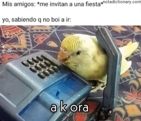 Learn Spanish With Memes: The ‘a k ora’ Mistake