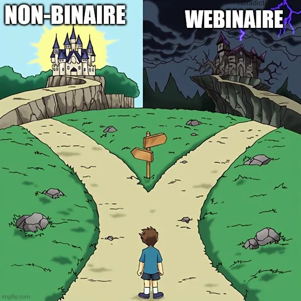 Learn English With Memes: Non-Binaire Webinaire