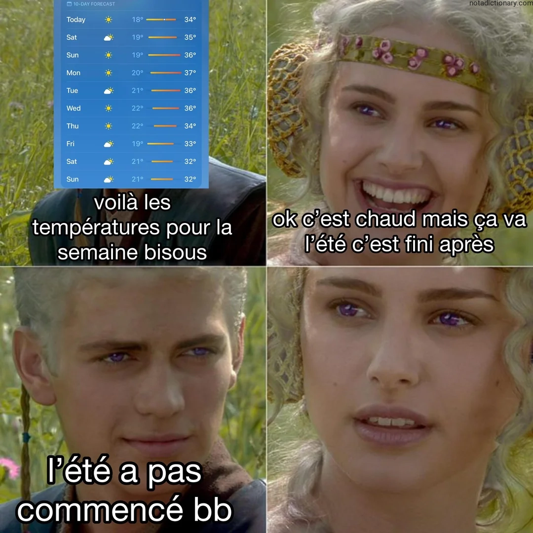 Learn French With Memes: L’Été a Pas Commencé