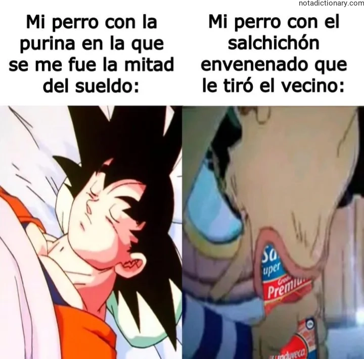 Learn Spanish With Memes: The Dog’s Purina vs. Salchichón Mishap