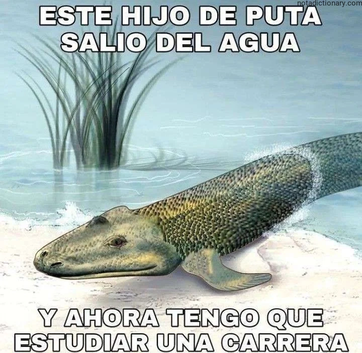 Learn Spanish With Memes: El Hijo de Puta que Salio del Agua