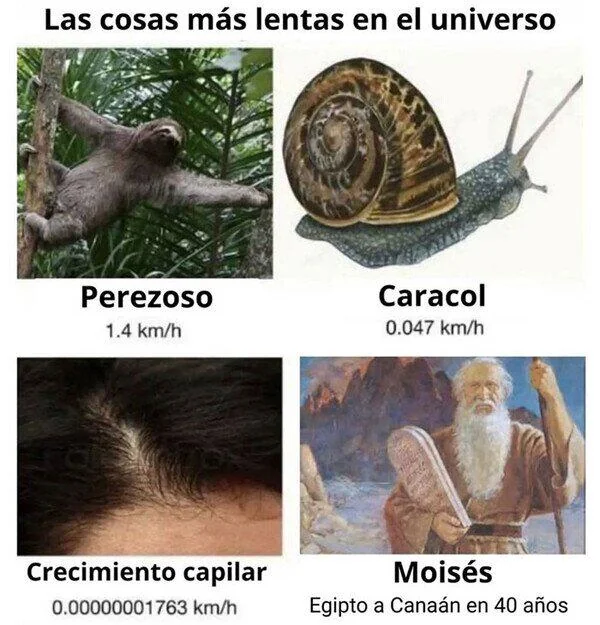Slowest Things | Learn Spanish With Memes