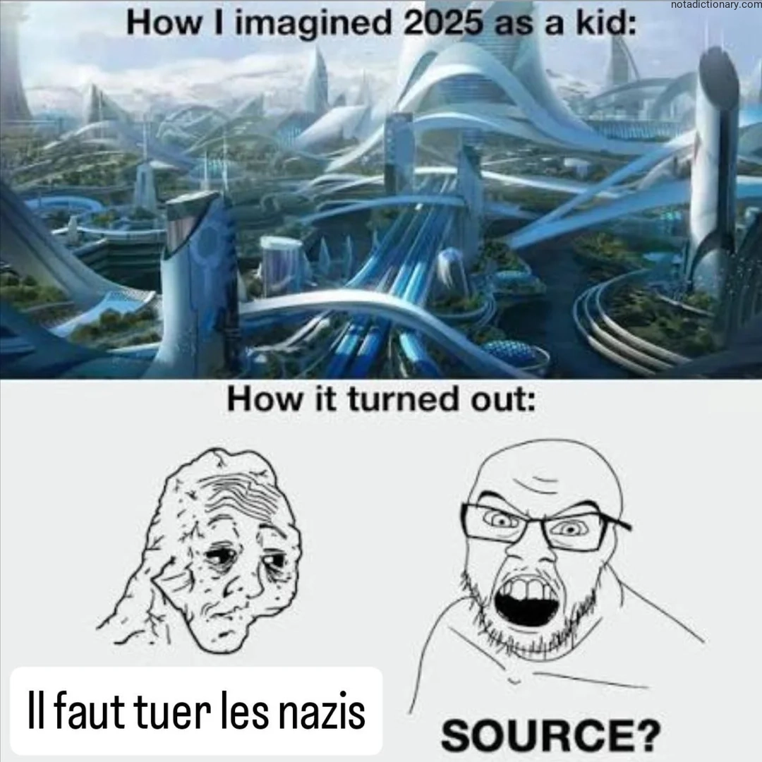 Learn French With Memes: Il faut tuer les nazis