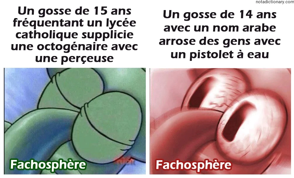 Learn French With Memes: Les Erreurs Qui Fâchent