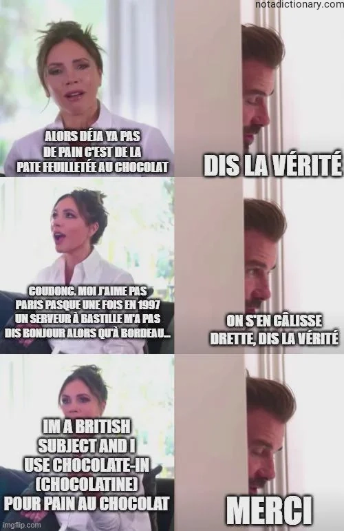 Learn French With Memes: Les Erreurs de l’Anglais dans le Français