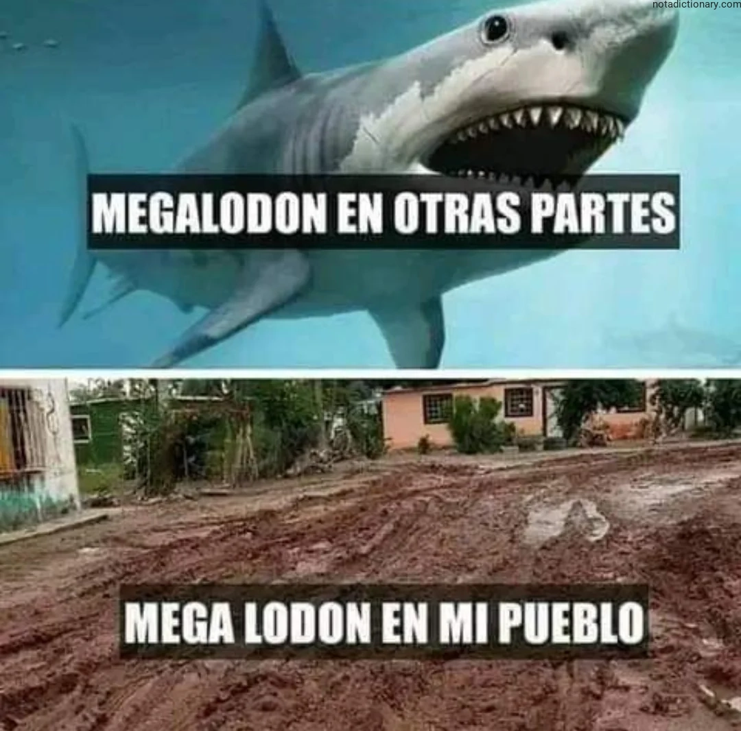 Learn Spanish With Memes: El Error Que Todos Cometen