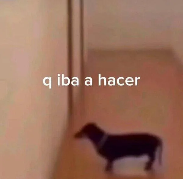 Que Iba A Hacer | Learn Spanish With Memes