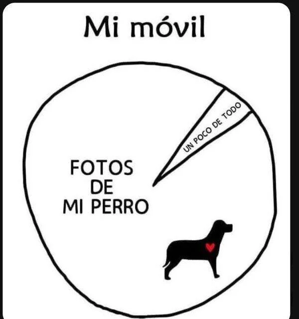Phone Storage Dog Photos | Learn Spanish With Memes