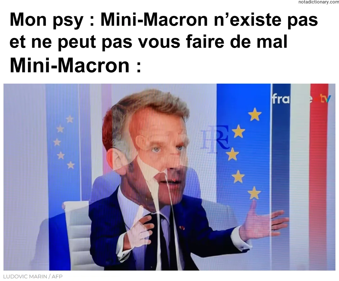 Learn French With Memes: Mon Psy vs Mini-Macron