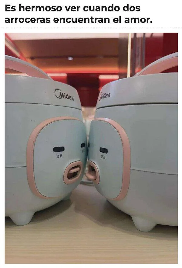 Rice Cooker Love | Learn Spanish With Memes