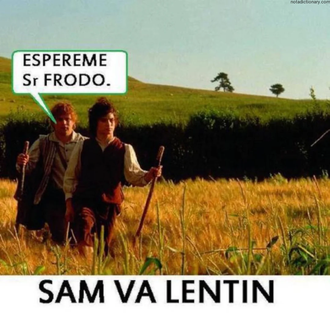Learn Italian With Memes: Espereme Sr Frodo