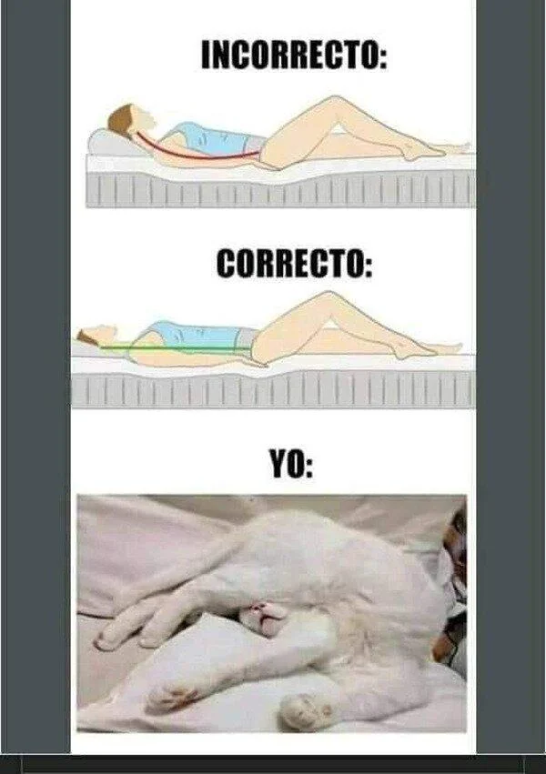 Correct vs Incorrect  | Learn Spanish With Memes