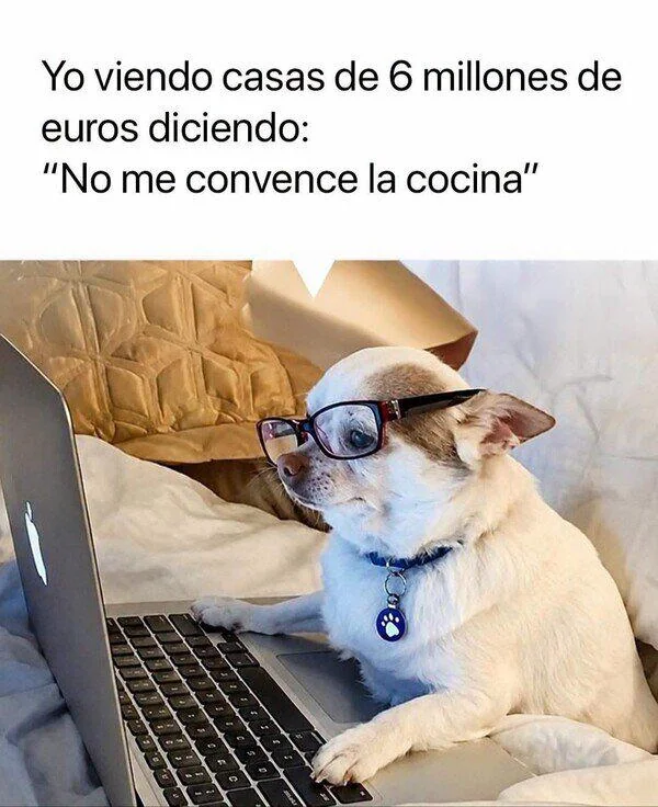 No Me Convence La Cocina| Learn Spanish With Memes