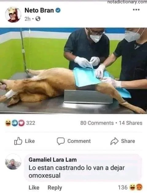 Learn Spanish With Memes: La Castración y el Error