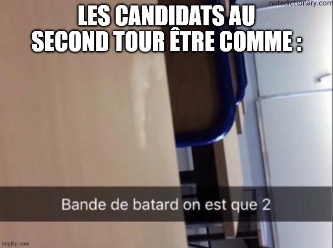 Learn French With Memes: Les Candidats Au Second Tour